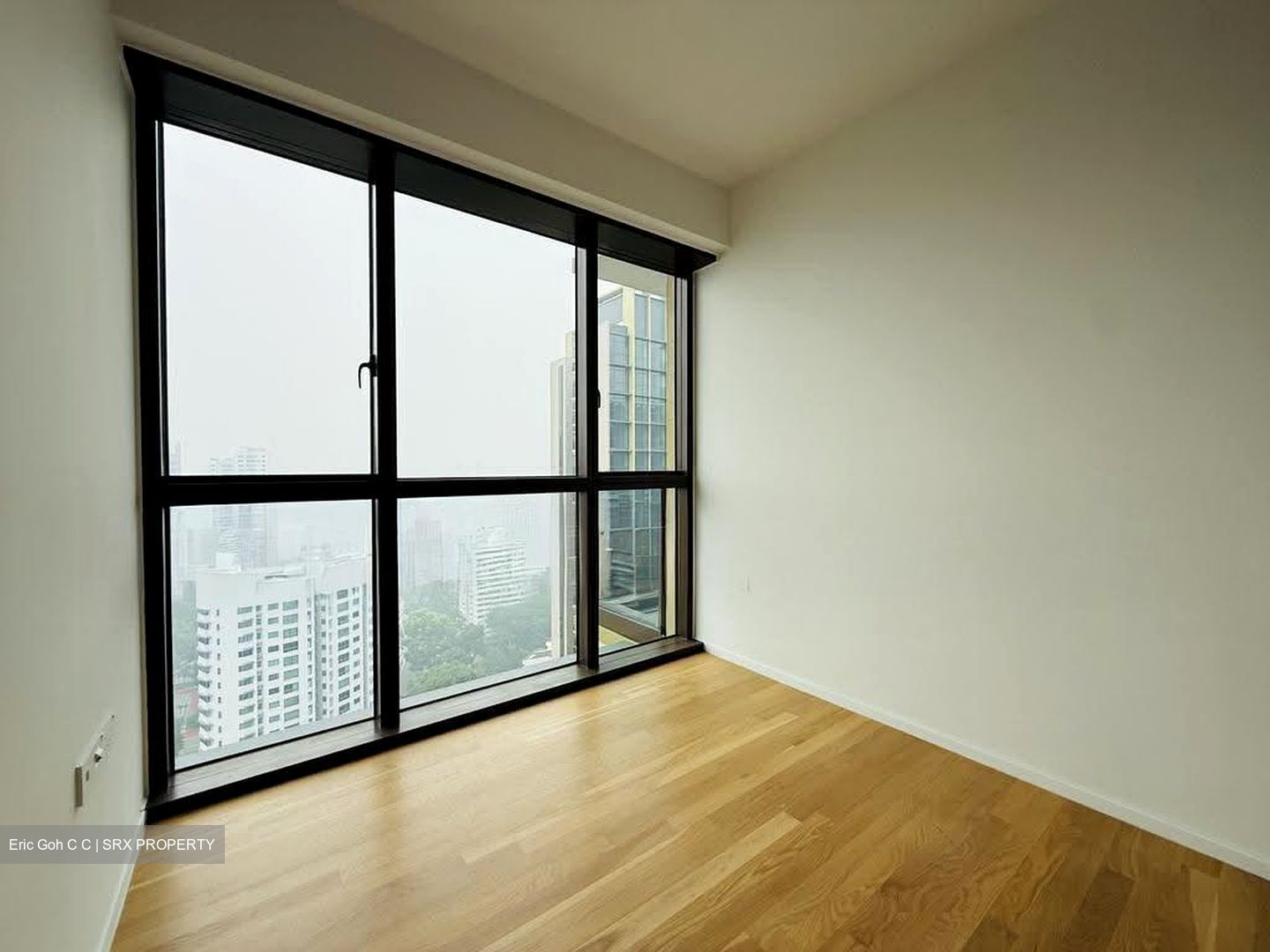 Pinetree Hill (D21), Condominium #632462401